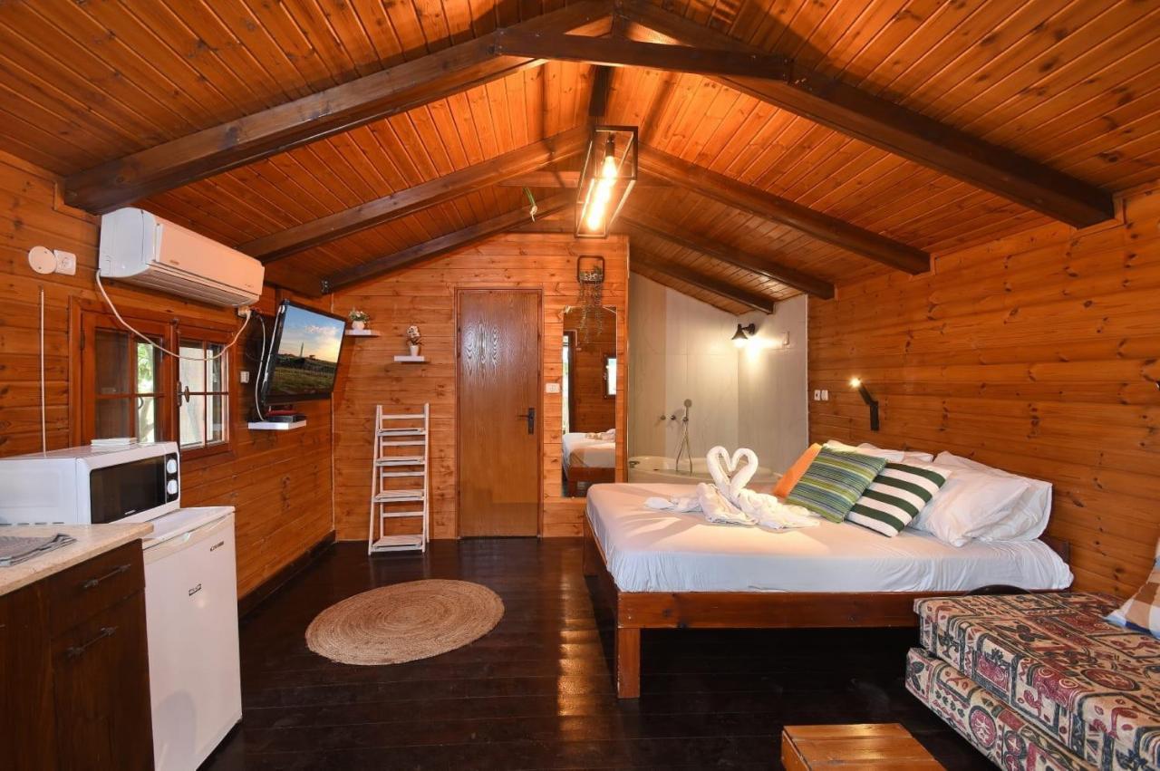 Villa פינה במעיין à Mishmār Hāyardin Extérieur photo
